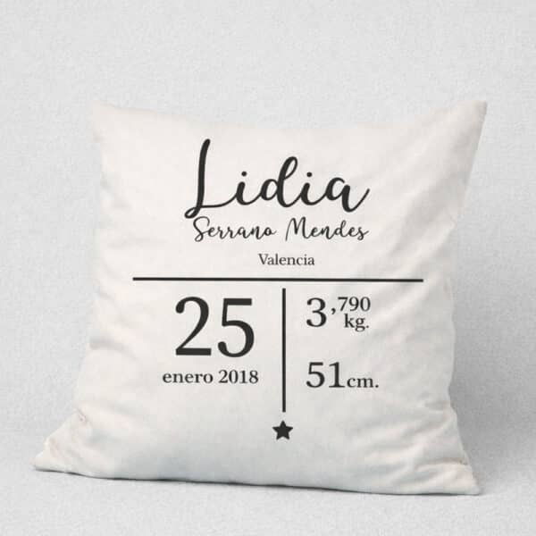 Cojín de manta grande decorativo personalizado 3 Cojín de manta grande decorativo personalizado